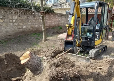 Gyökérkiszedés géppel, tuskó kiszedése